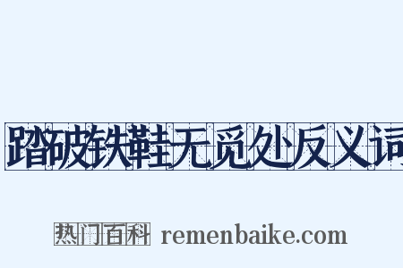 踏破铁鞋无觅处反义词是什么意思的图片